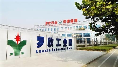 东音股份（sz002793）旗下罗欣药业 深耕研发，荣登中国医药研发产品线，携手长春白求恩制药共促发展